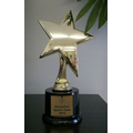 Star Award Trophy